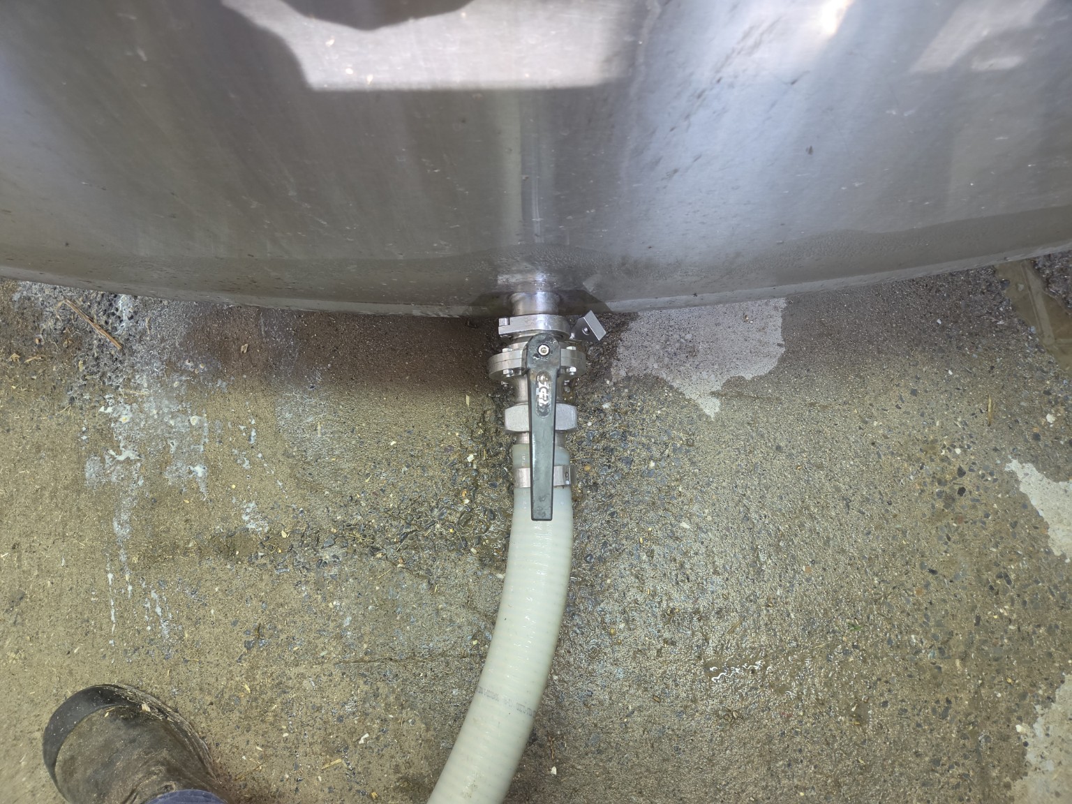 Milk tanker hose connected to the outlet of a farm bulk tank