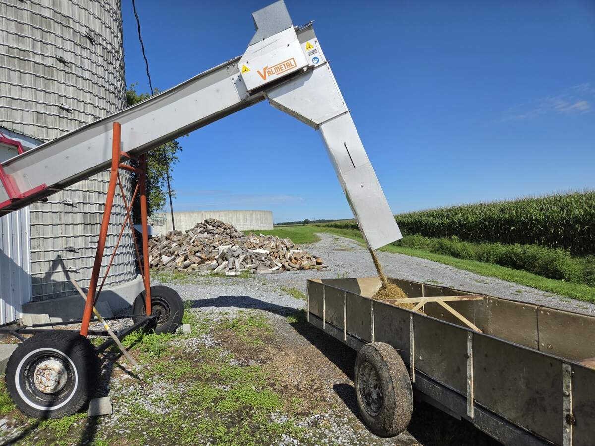 Convoyeur Valmetal remplissant un chariot d’ensilage de maïs à la ferme