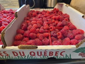 Caisse de framboises du Québec en pleine saison