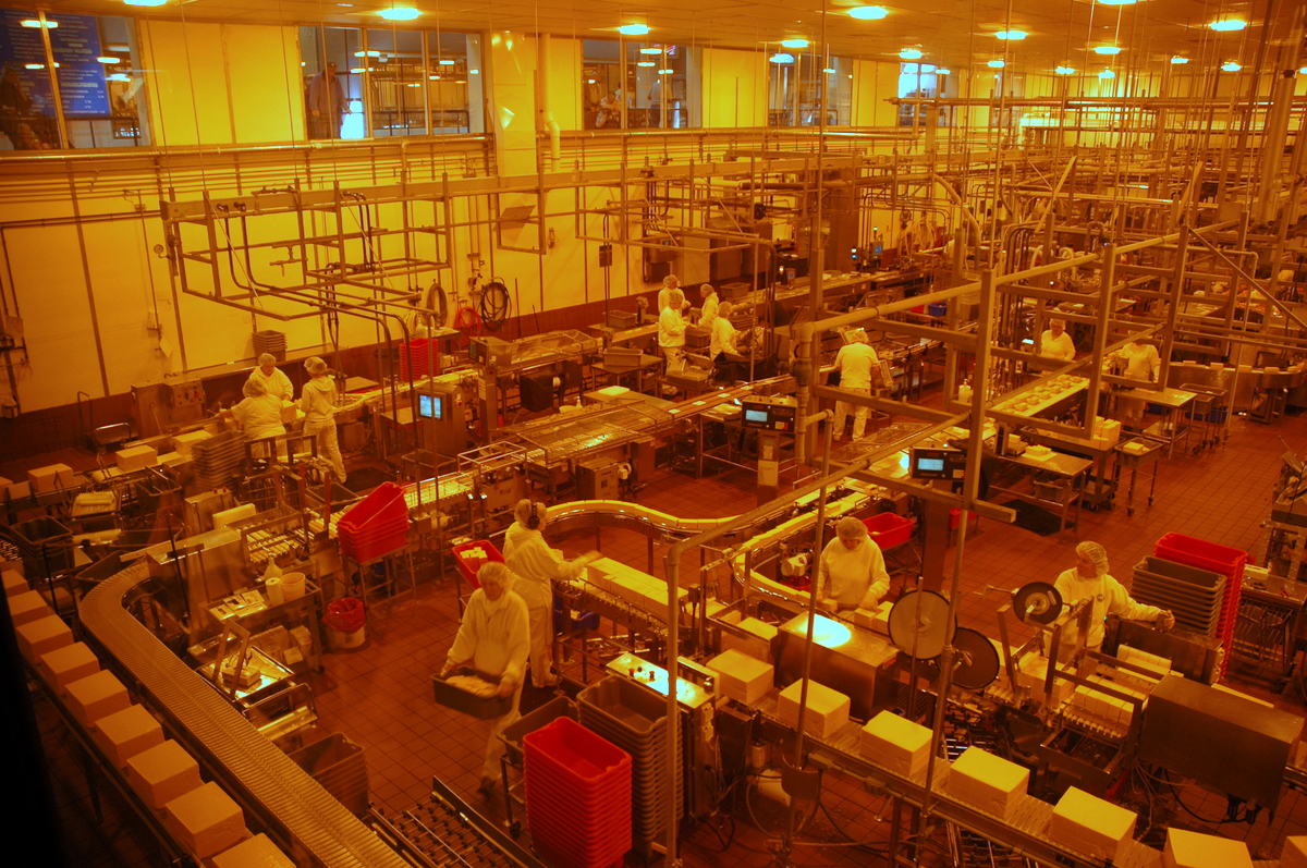 Intérieur d’une usine de transformation laitière avec chaînes de production et employés